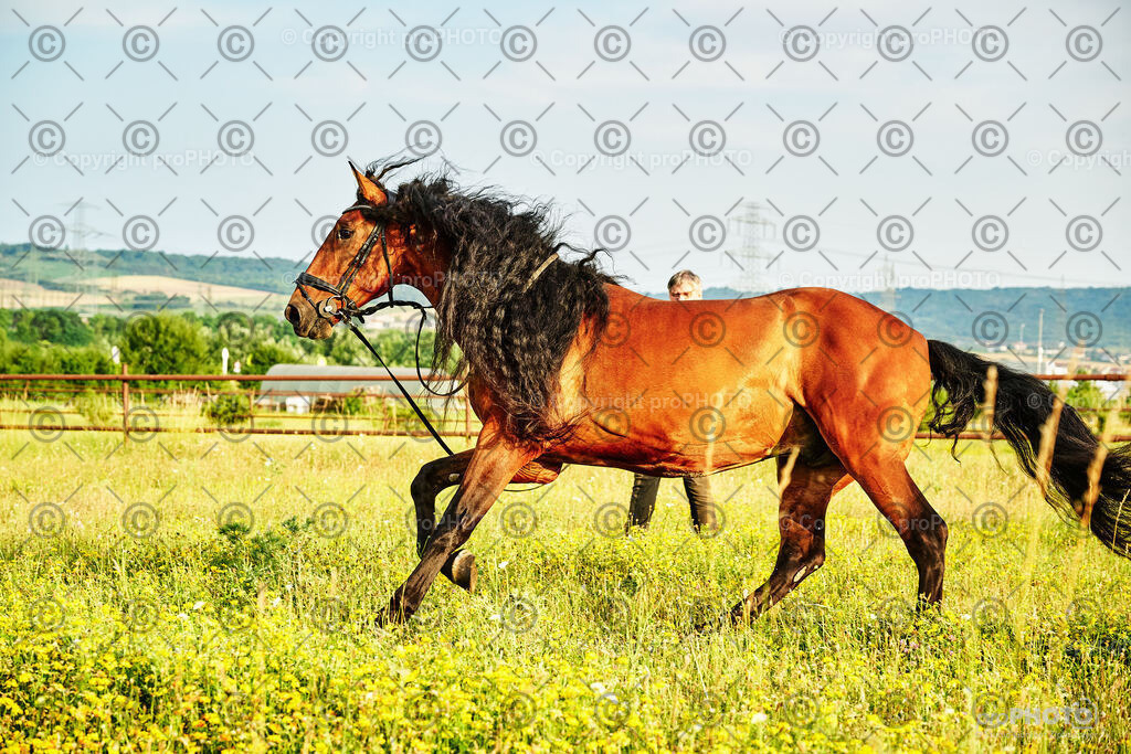 320_202406_Niki-Herodes_NZ9_0274 | proPHOTO - Realisiert mit Pictrs.com