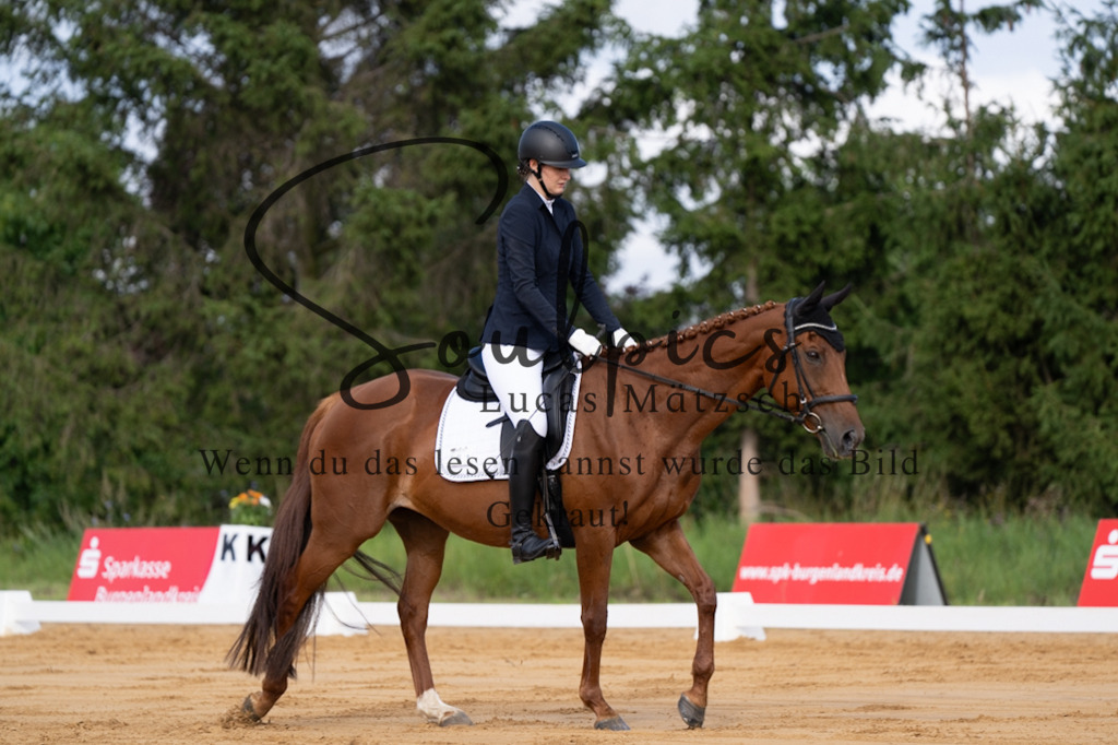 A7V05112 | Pferdefotograf