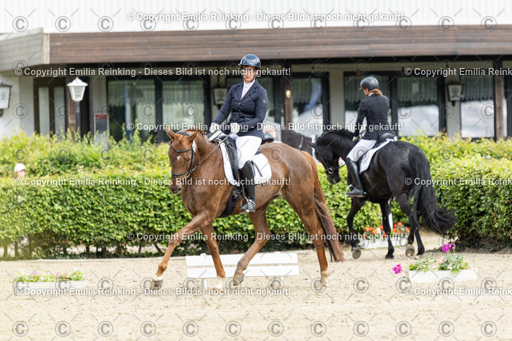 CL5A5103-2 | Emilia Reinking Fotografie - Realisiert mit Pictrs.com