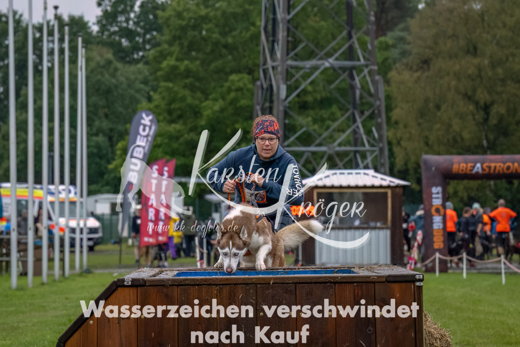 1201--13 | kk-dogfotos