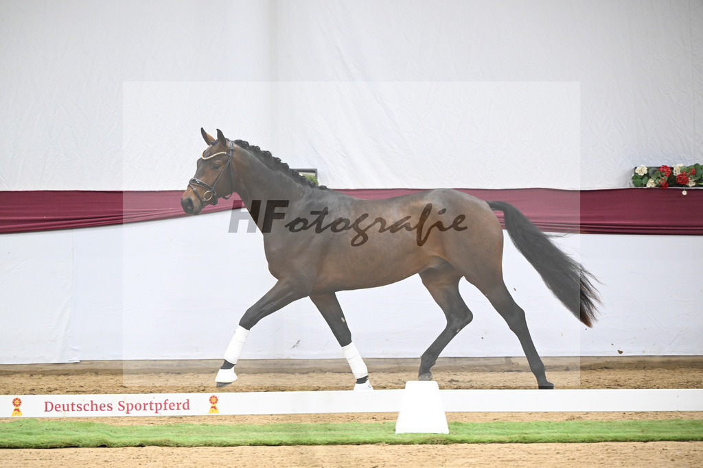 Kat-Nr. 123 Elastic x Belissimo M_Limbecker GnbH u Co. KG_47254079 | hf-fotografie - Realisiert mit Pictrs.com