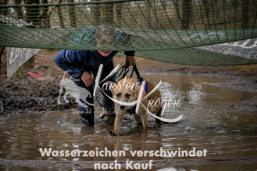 0947_ZZ98300 | kk-dogfotos