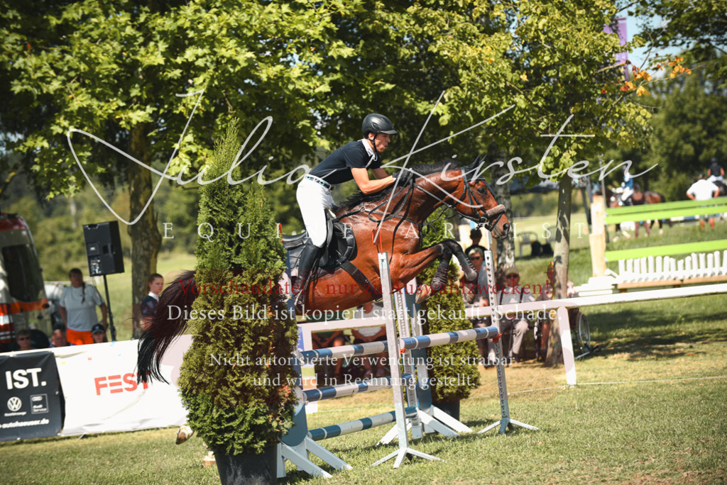 DSC_6638 | Pferde- und Turnierfotografie in Westsachsen. Pferdeportraits, Auftragszeichnungen und intuitive Kunst.
