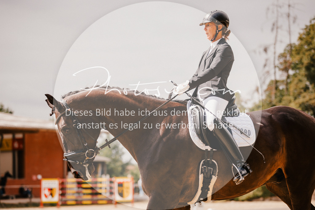 3I6A6121 | Stimmungsvolle Portraits und Reitsportfotografie im Ruhrgebiet und im Münsterland.

Pferdefotografie, Hundefotografie, Tierfotografie, Reportagen, Portraits von Tier und Mensch, Turnierfotografie in Bochum, Recklinghausen, Marl, Haltern am See, Dülmen.. - Realisiert mit Pictrs.com