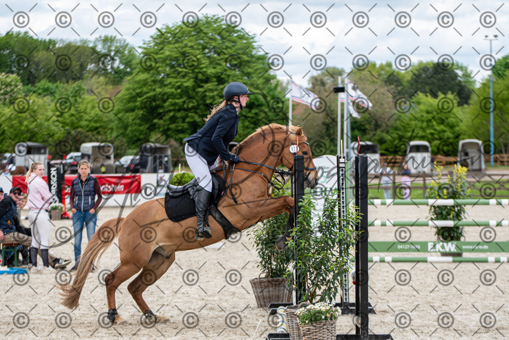 KPT_6397 | andre_photographic