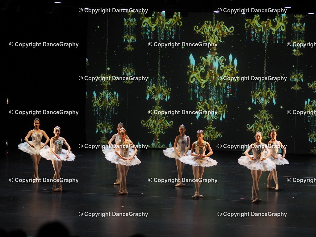 P7260445 | DanceGraphy - Realisiert mit Pictrs.com