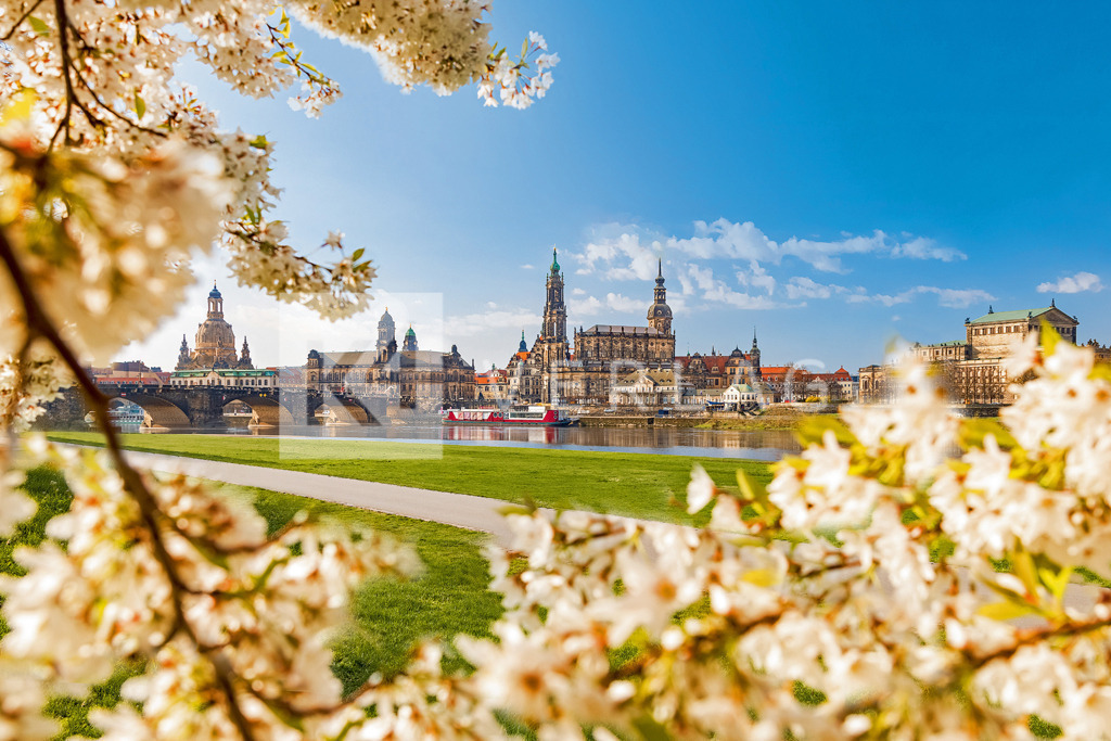Silhouette-Dresden-Altstadt-Dampfer-0U3A1497 | Blick auf die Altstadtsilhouette mit Frauenkirche, Hofkirche und Residenzschloss - Realisiert mit Pictrs.com