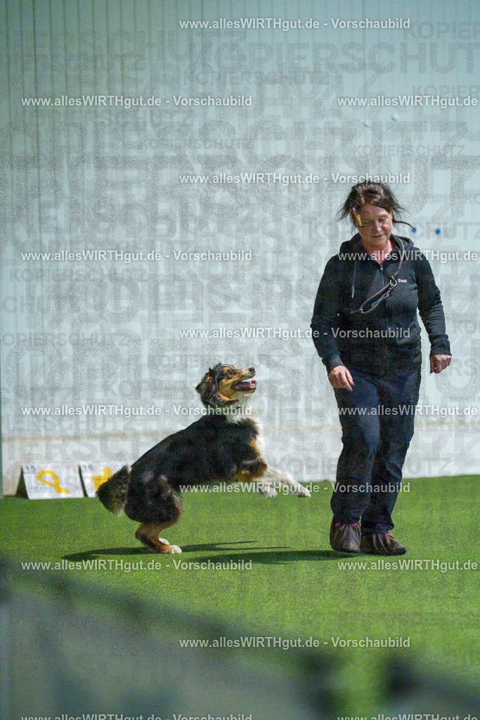 7R502022 | Professionelle Tierfotografie in Mönchengladbach von Daniel Wirth (allesWIRTHgut). Liebevolle & natürliche Bilder von Hunden & Katzen für unvergessliche Erinnerungen.