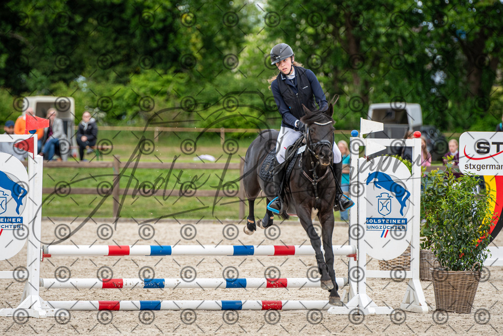 KPT_6373 | andre_photographic