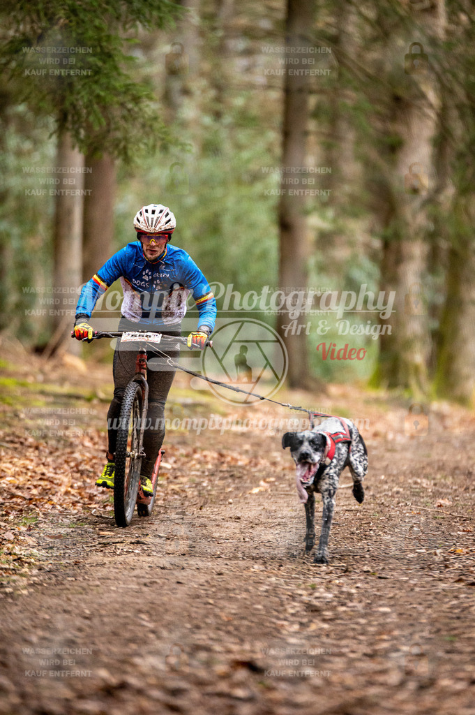 SPA_2023_DIM_Scooter-2 | PayLife