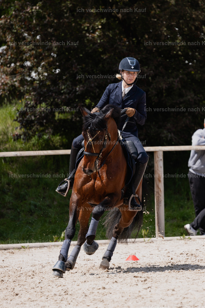 PI26_SP_StoibphotographyC2_C3369.CR3 | working equitationturnier fotograf videograf stoibphotography marixx film working equitation deutschland reitsport turnierfotografie eventfotografie equestrian events