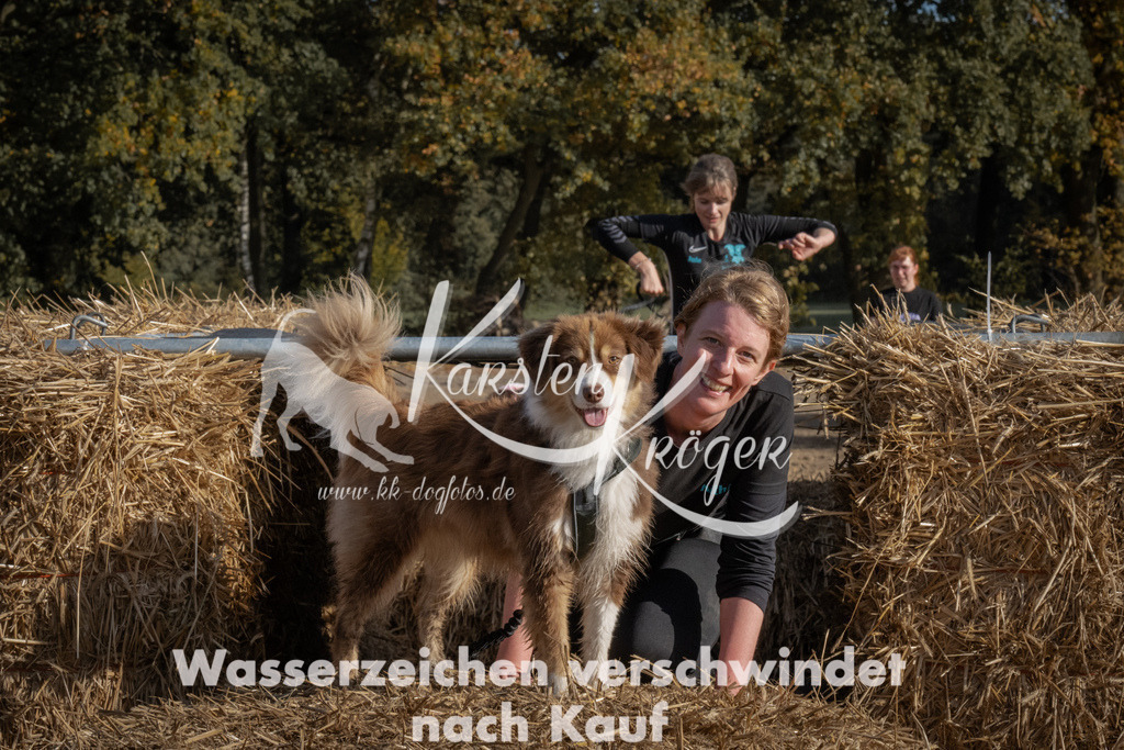 1125_ZZ91581 | kk-dogfotos