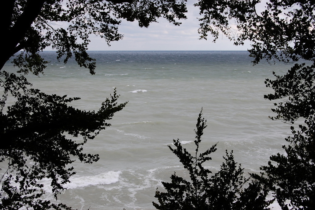 7A0513C8-0ED4-4A35-BB5A-0AF414B0DA2F | Franz Podek