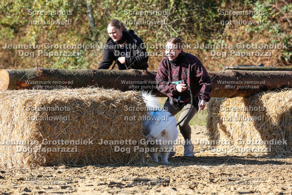 Dog Paparazzi - Strongdog 10-25-2045 | Dog Paparazzi Jeanette Grottendiek Fotografie & Videografie - Realisiert mit Pictrs.com