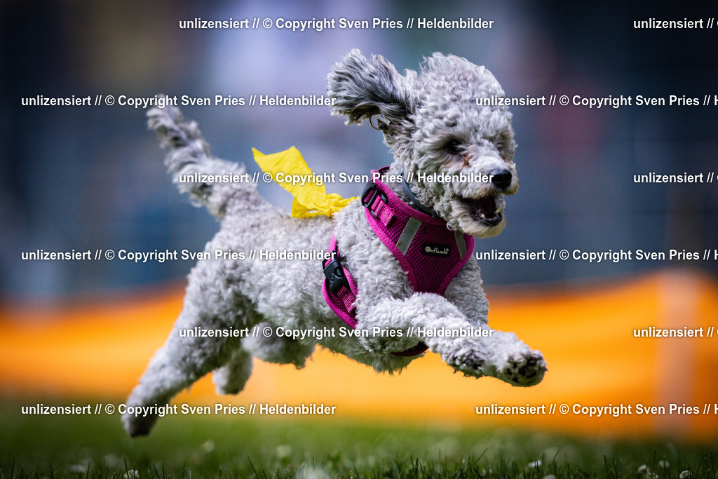 Sven Pries | 2025-05-29 - Pudelrennen KA-Durlach - Realisiert mit Pictrs.com