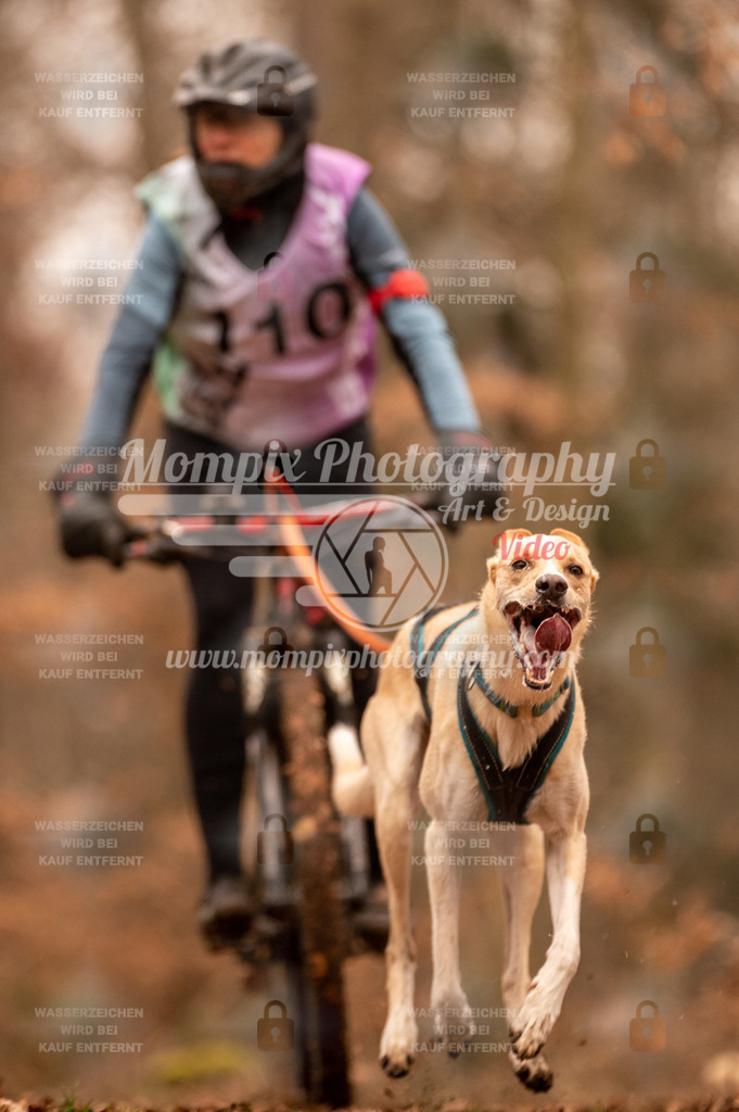 AKM_ST_2023_SAM_Bike-119 | PayLife