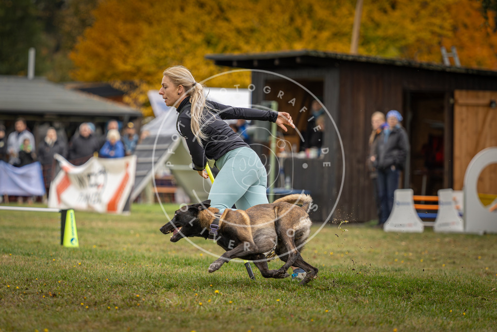 Pfotenfotografie_DV3A3197 | Hundefotografie, Tierfotograf, Pfotenfotografie, Fotoshooting Hund, Hunde Portrait, Hundesport, Hundeportraits, Heideshooting, Hunde, Sportfotograf, Hundefotograf, Turnierhundsport, THS,  - Realisiert mit Pictrs.com