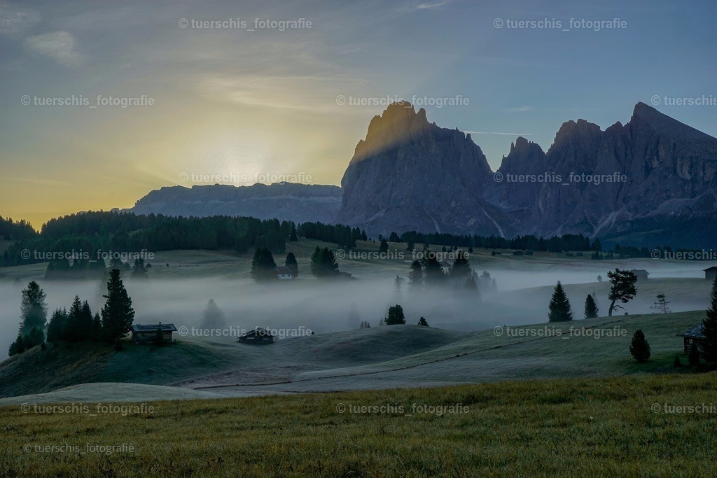 _DSC4985-01 | tuerschis_fotografie - Realisiert mit Pictrs.com