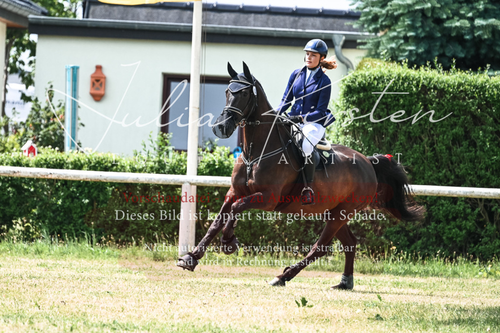 DSC_9201 | Pferde- und Turnierfotografie in Westsachsen. Pferdeportraits, Auftragszeichnungen und intuitive Kunst.