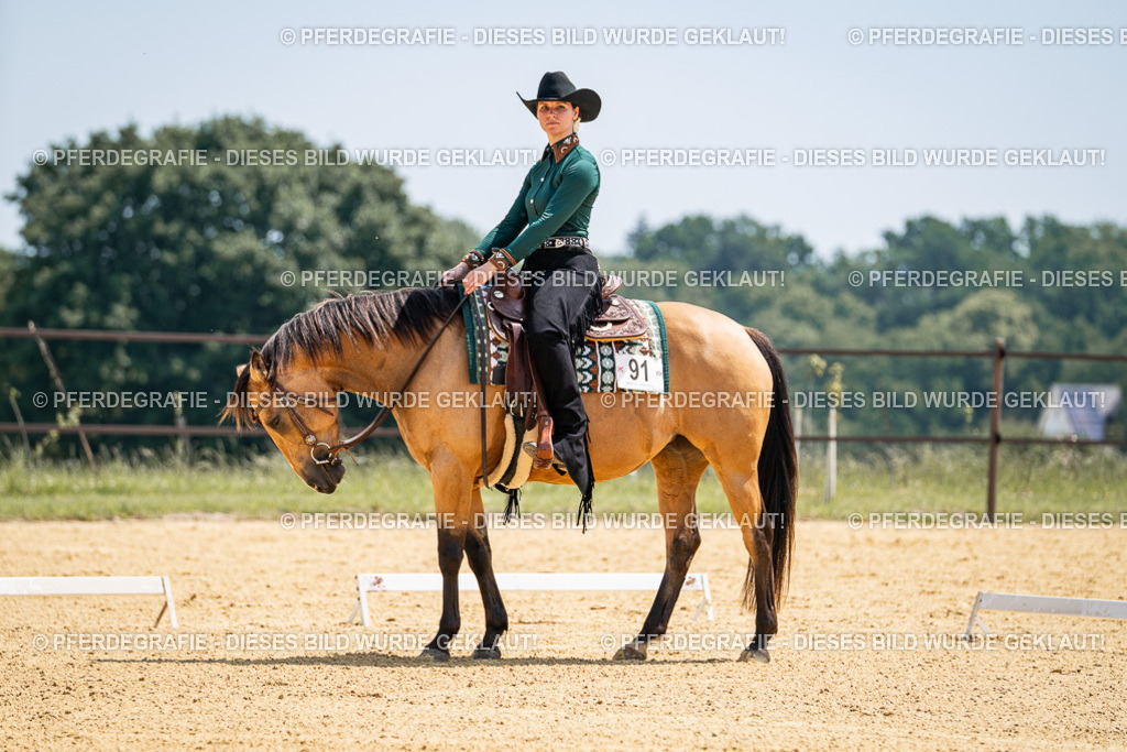 DSC01230 | Pferdegrafie