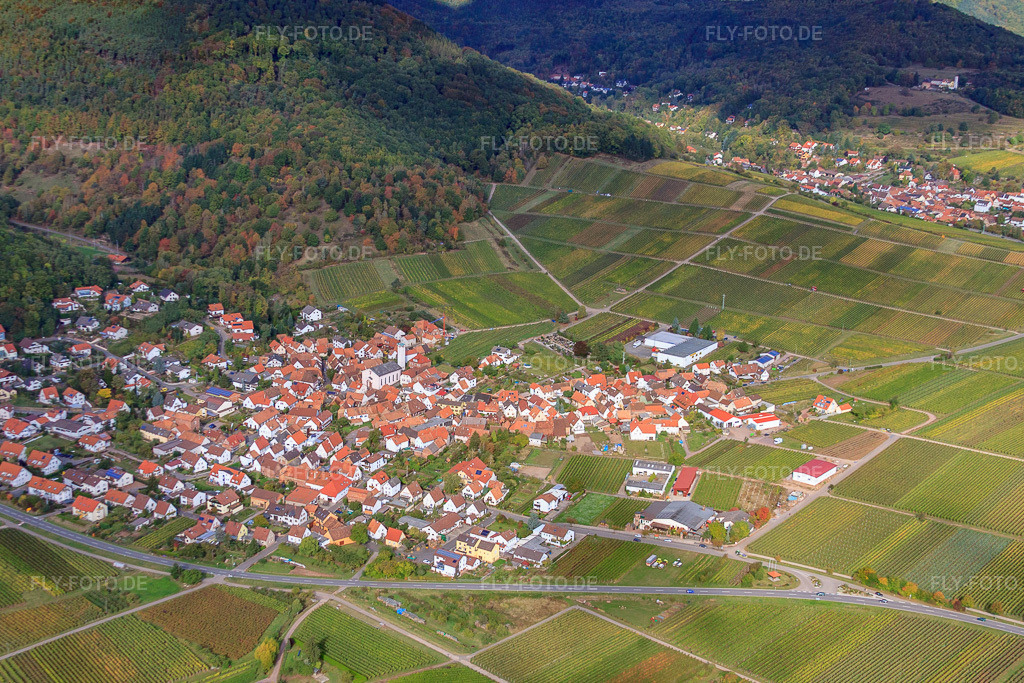 Luftbild: Winzerdorf am Haardtrand von Südosten in Eschbach im Bundesland Rheinland-Pfalz in Deutschland. Foto: IMG_22385.jpg vom 15.10.2009 durch Werner Riehm/FLY-FOTO.de
