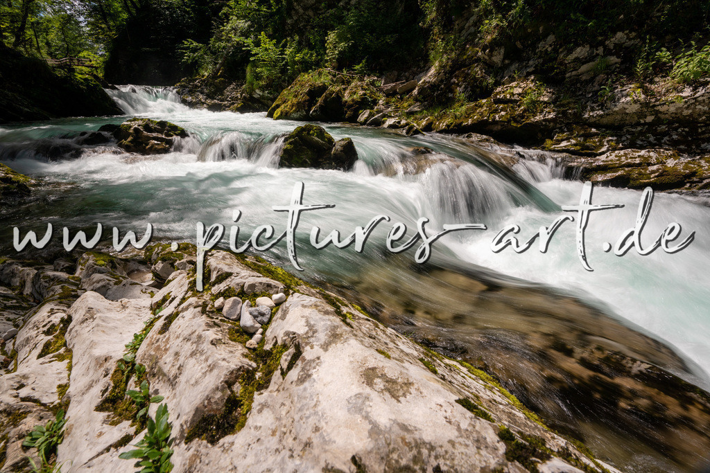 DSC09777 | pictures-art.de