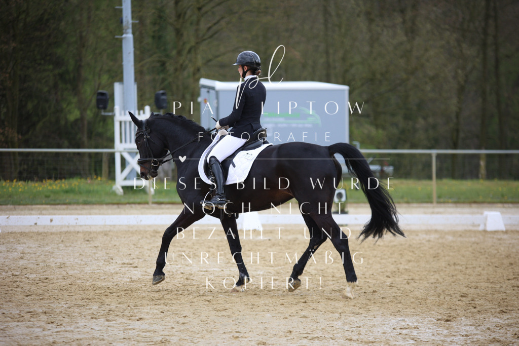 IMGT5899 | pl-fotografie