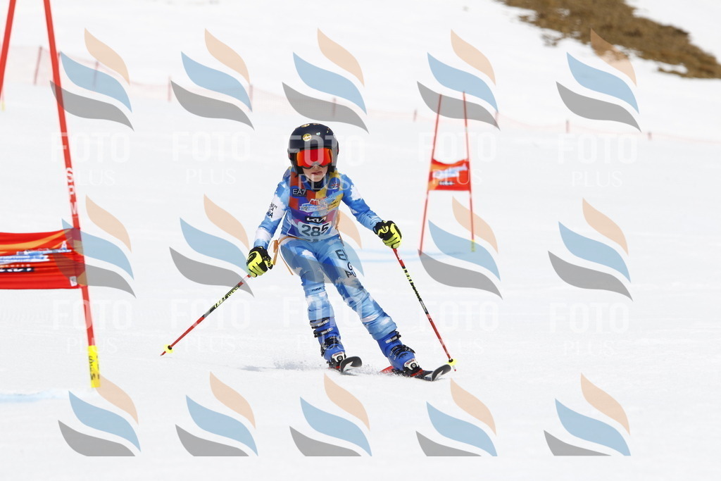 _U3G7138 | holidayphoto