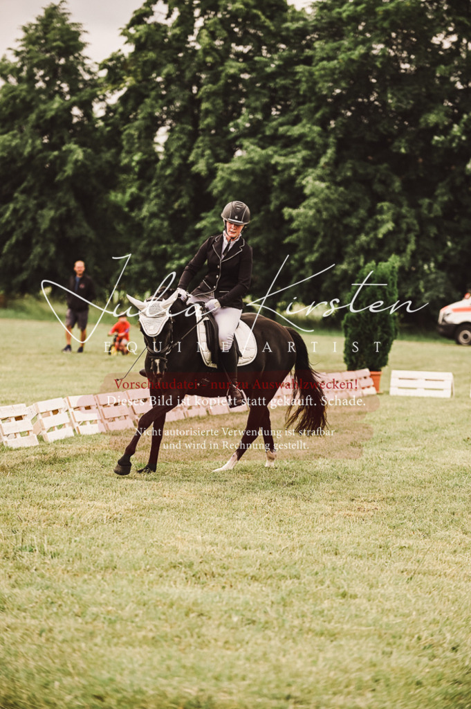DSC_4825 | Pferde- und Turnierfotografie in Westsachsen. Pferdeportraits, Auftragszeichnungen und intuitive Kunst.