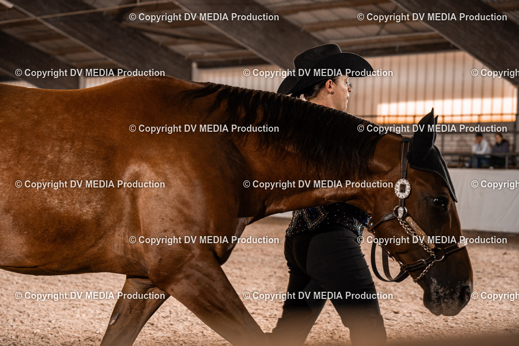 ZH100214 | dv-media-shop - Realisiert mit Pictrs.com