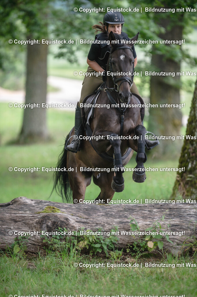 20250726_Vielseitigkeitslehrgang-Marbach_0428 | Foto: Thomas Hartig