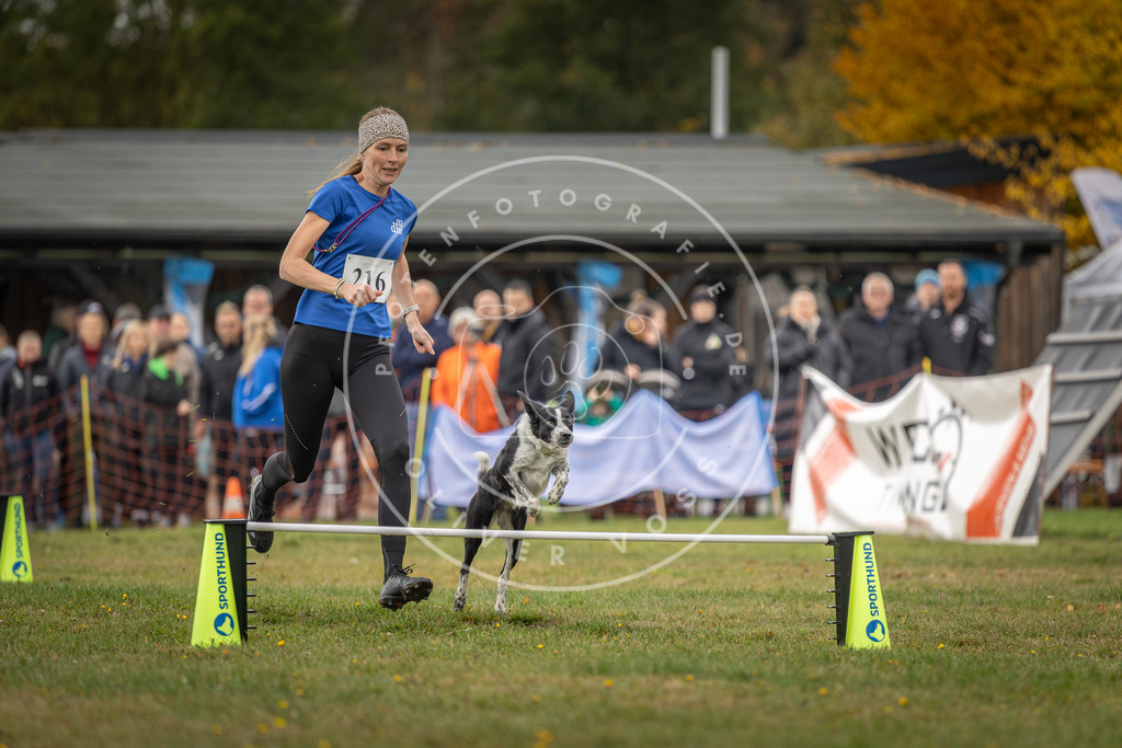 Pfotenfotografie_DV3A2936 | Hundefotografie, Tierfotograf, Pfotenfotografie, Fotoshooting Hund, Hunde Portrait, Hundesport, Hundeportraits, Heideshooting, Hunde, Sportfotograf, Hundefotograf, Turnierhundsport, THS,  - Realisiert mit Pictrs.com