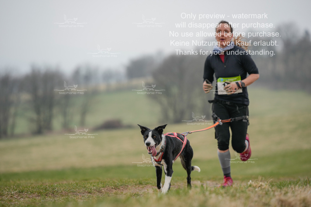 Canixlong-309 | stephaniefillaphotographie - Realisiert mit Pictrs.com