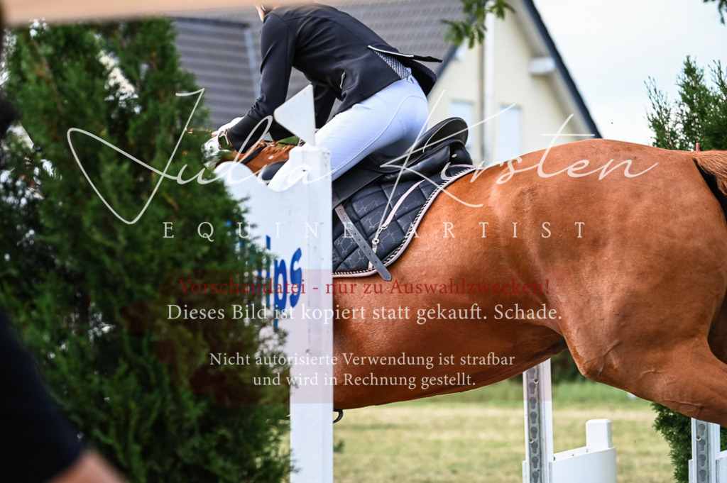 DSC_7963 | Pferde- und Turnierfotografie in Westsachsen. Pferdeportraits, Auftragszeichnungen und intuitive Kunst.