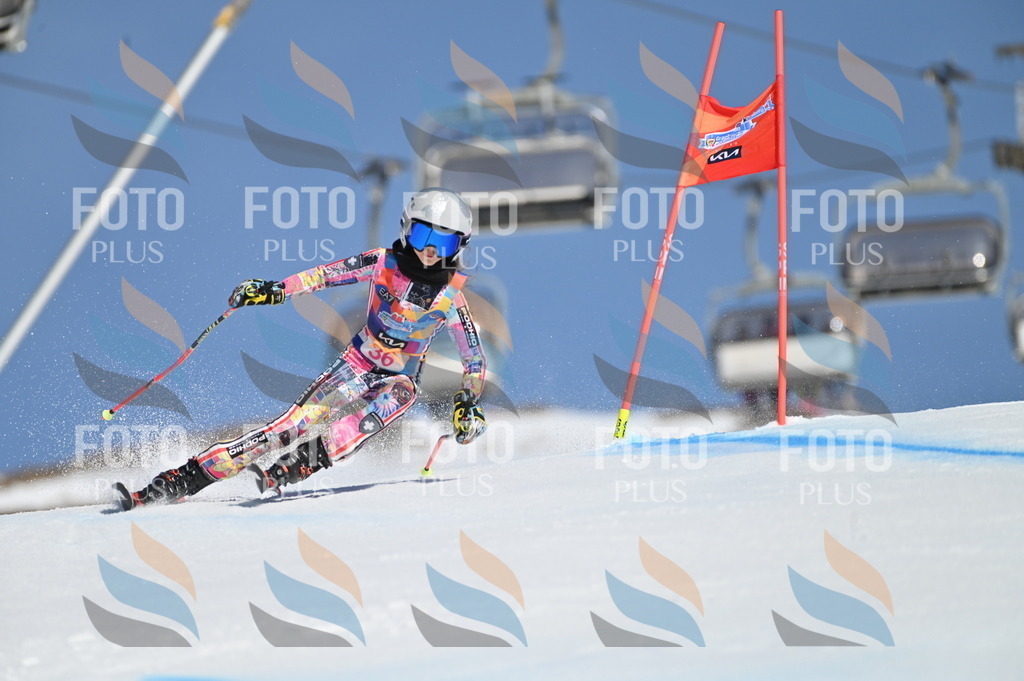 BGV_8258 | holidayphoto