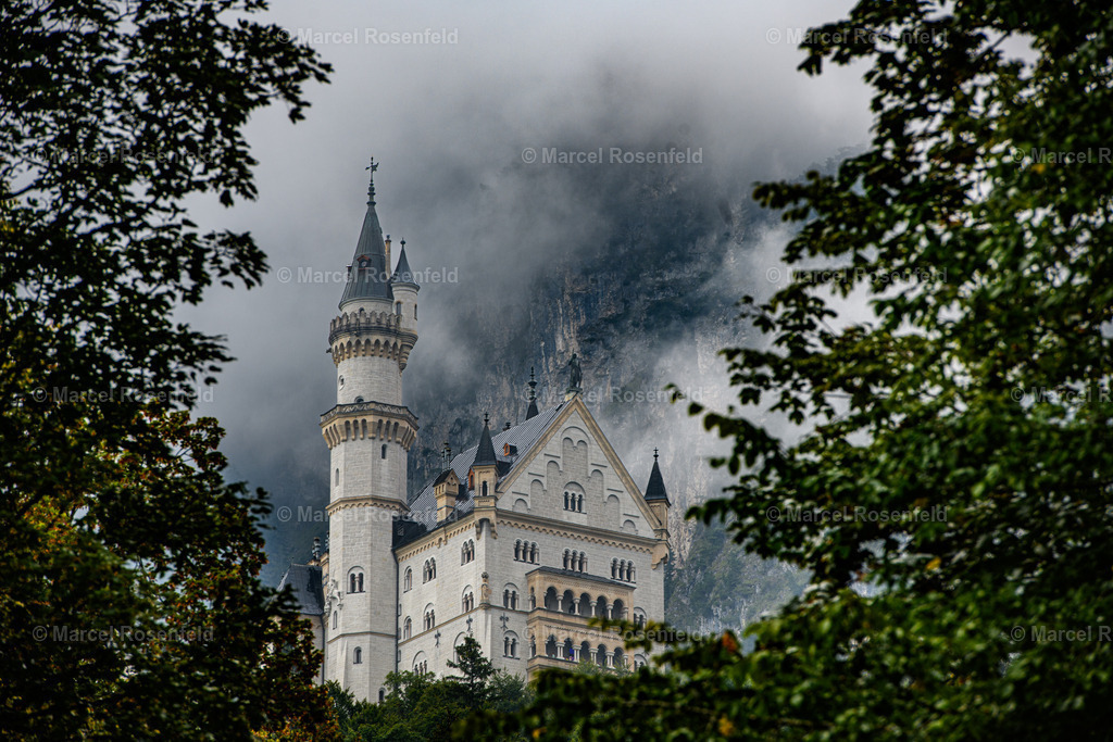 _DSC4750 | foto-rosenfeld