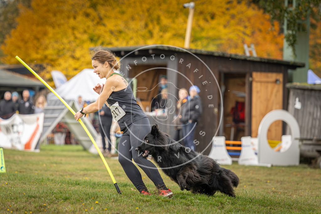 Pfotenfotografie_DV3A2969 | Hundefotografie, Tierfotograf, Pfotenfotografie, Fotoshooting Hund, Hunde Portrait, Hundesport, Hundeportraits, Heideshooting, Hunde, Sportfotograf, Hundefotograf, Turnierhundsport, THS,  - Realisiert mit Pictrs.com