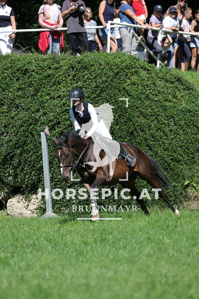 0P6A6572 | Willkommen bei Brunnmayr - Design & Fotografie – Ihrem Spezialisten für Reitturniere und Pferdeveranstaltungen in Oberösterreich, Salzburg und Bayern! Seit über 17 Jahren sind wir leidenschaftlich dabei.