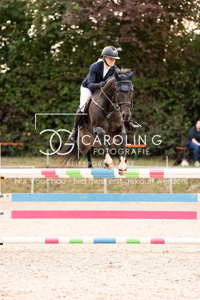 DSC03104 | Carolin Gieschke