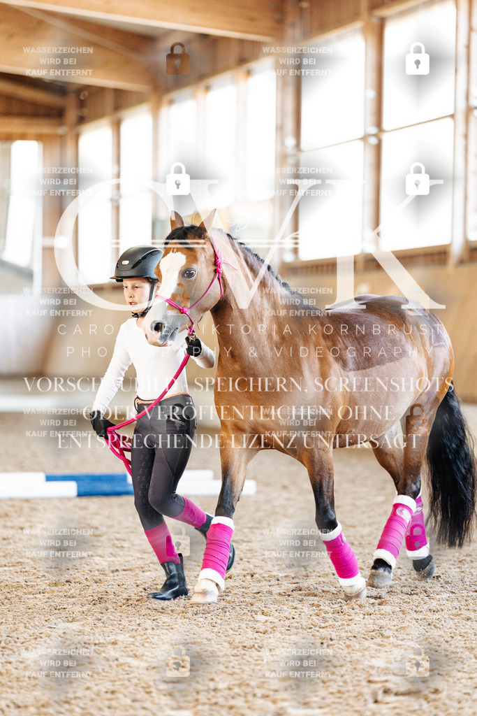 CK905496 | Turnierfotografie Pferdefotografie Trier Rheinland-Pfalz Pferdesport Reitsport Tierfotografie Sportfotografie Pferdevideo Pferdevideografie Equestrianvideography equestrianphotography  - Realized with Pictrs.com