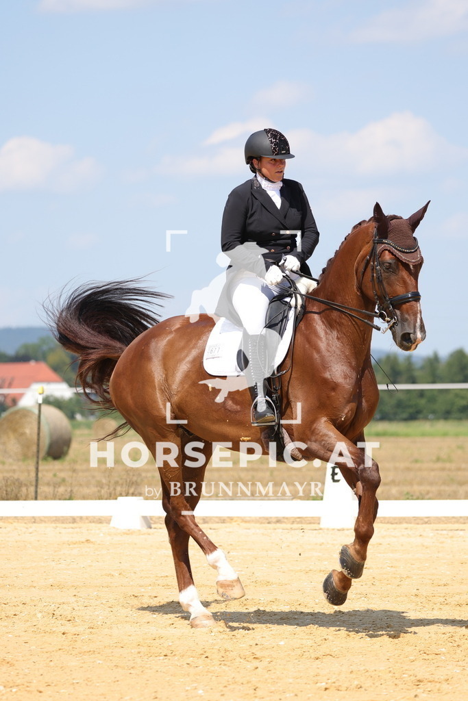 0P6A7389 | Willkommen bei Brunnmayr - Design & Fotografie – Ihrem Spezialisten für Reitturniere und Pferdeveranstaltungen in Oberösterreich, Salzburg und Bayern! Seit über 17 Jahren sind wir leidenschaftlich dabei.