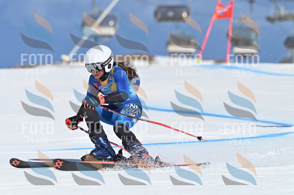 BGV_8507 | holidayphoto