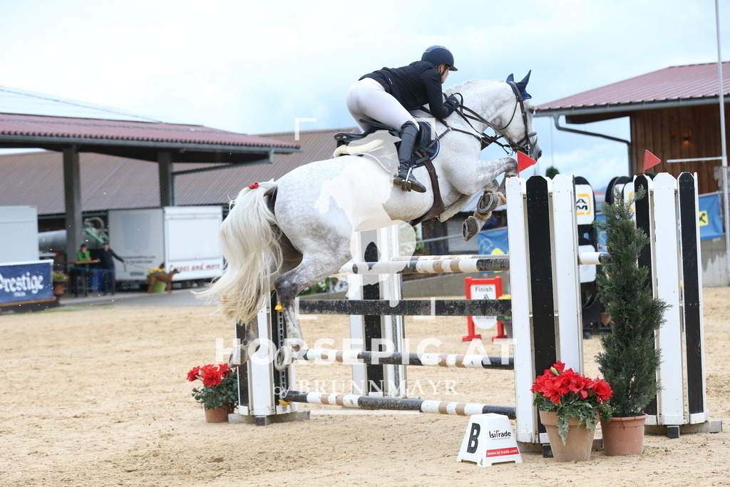 DL2Q6978 | Willkommen bei Brunnmayr - Design & Fotografie – Ihrem Spezialisten für Reitturniere und Pferdeveranstaltungen in Oberösterreich, Salzburg und Bayern! Seit über 17 Jahren sind wir leidenschaftlich dabei.