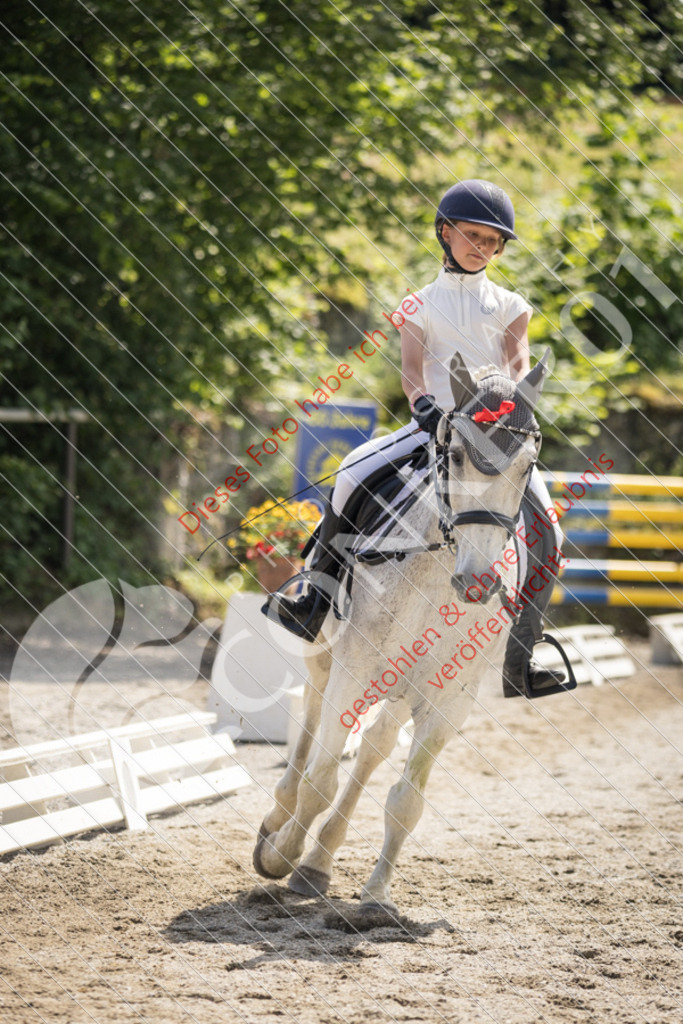 IMG_4871 | Sport-, Event- und Tierfotos in Profiqualität. Einfach auswählen, bestellen und herunterladen. Dein Moment – perfekt festgehalten.