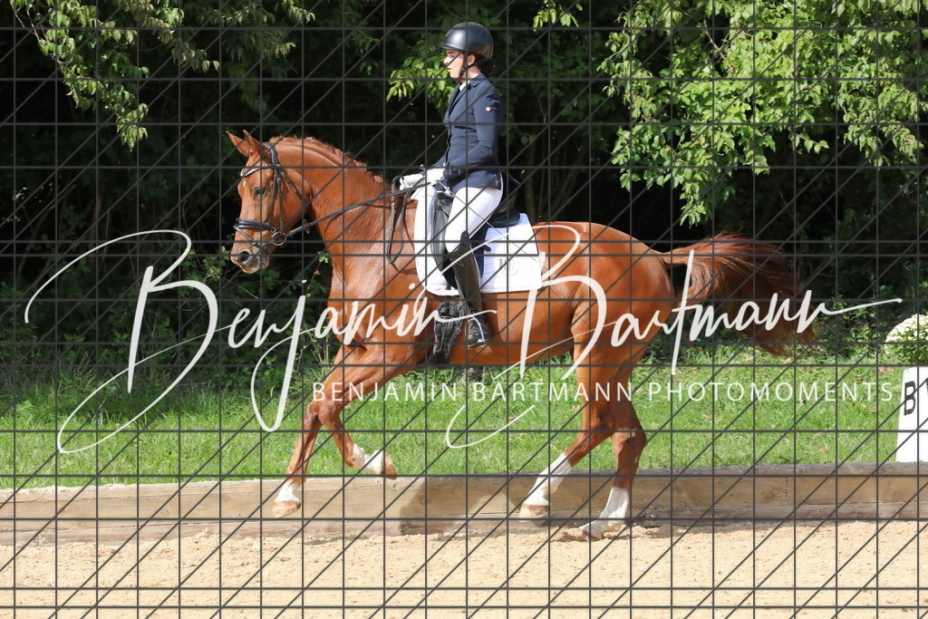 AZ2A2833 | Benjamin Bartmann Photomoments