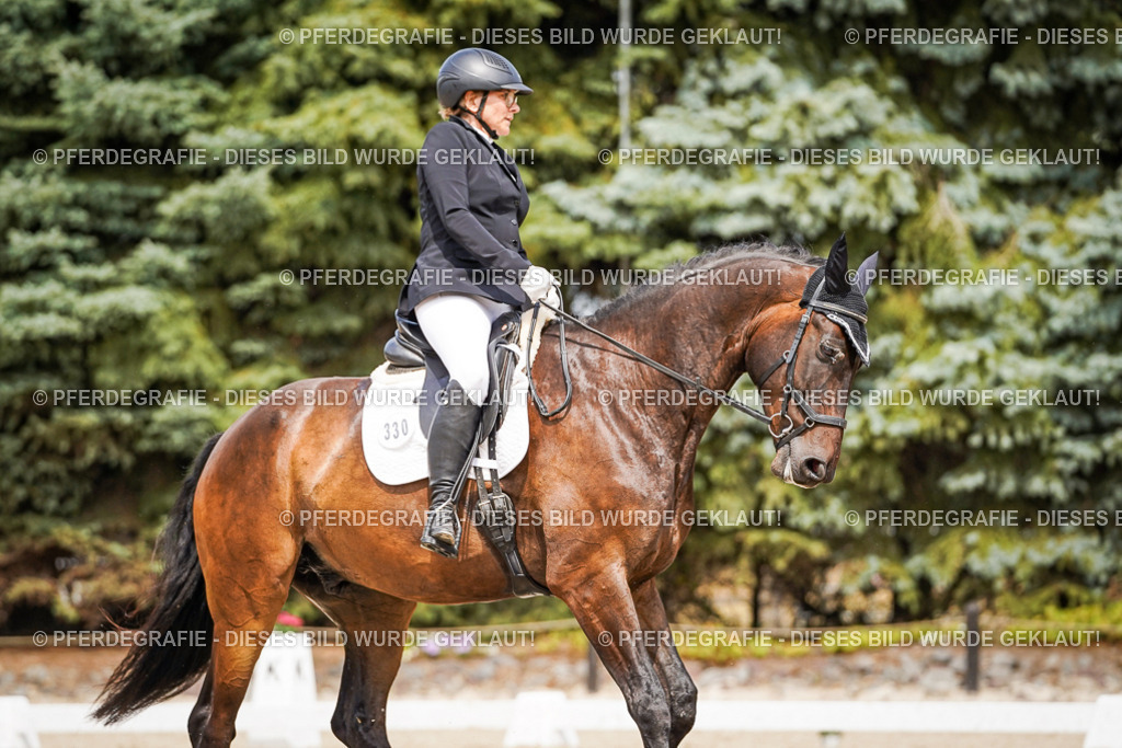 DSC03657 | Pferdegrafie