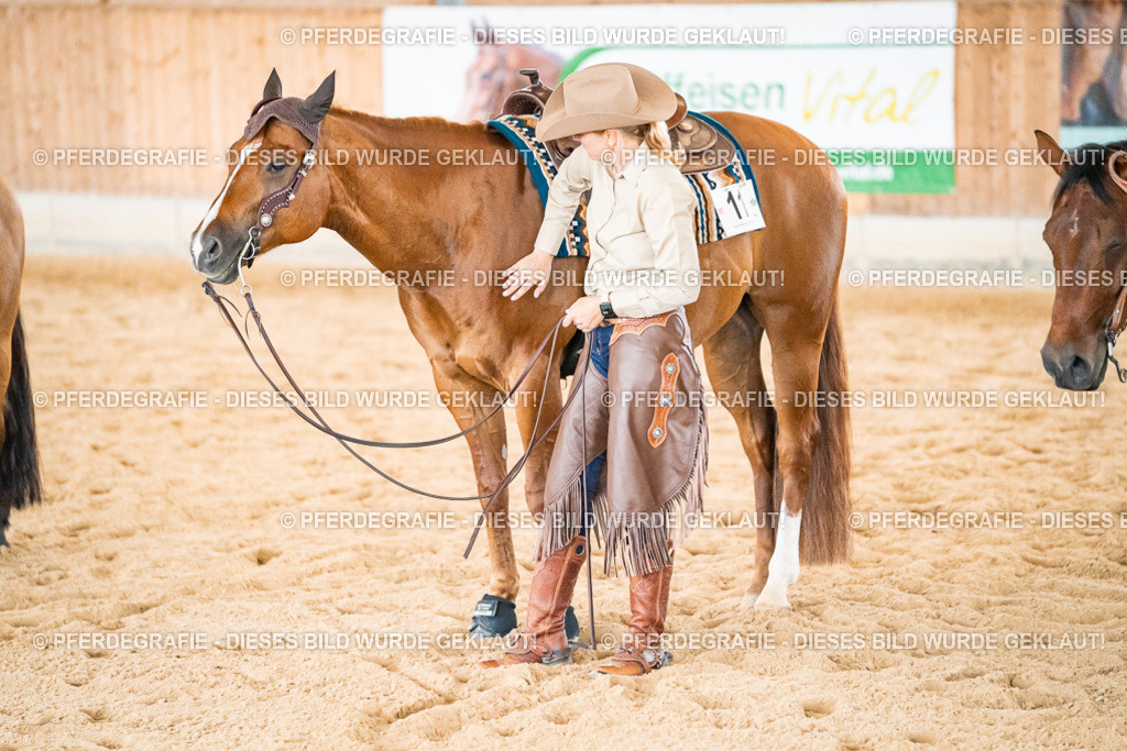 DSC01106 | Pferdegrafie