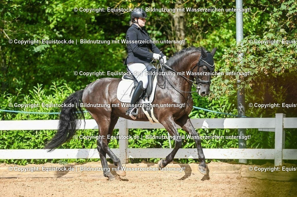 20230716_01_Dressurprüfung Kl.M_0591 | equistock
