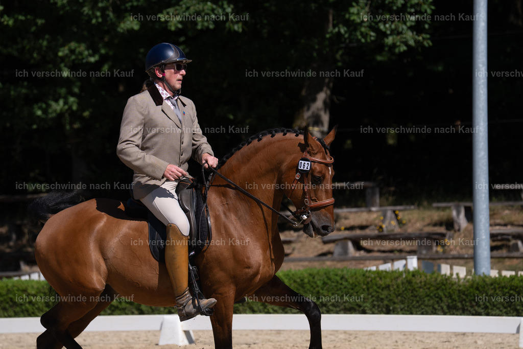 WS_DR_62_sinafilmart_IN04029 | working equitationturnier fotograf videograf stoibphotography marixx film working equitation deutschland reitsport turnierfotografie eventfotografie equestrian events