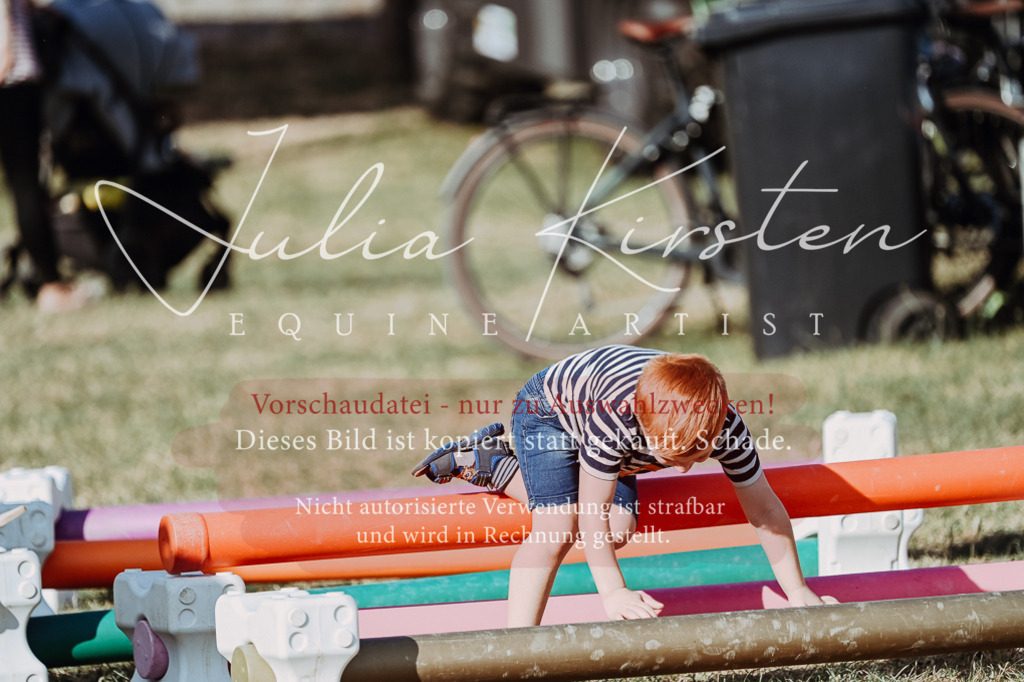 DSC_8916 | Pferde- und Turnierfotografie in Westsachsen. Pferdeportraits, Auftragszeichnungen und intuitive Kunst.